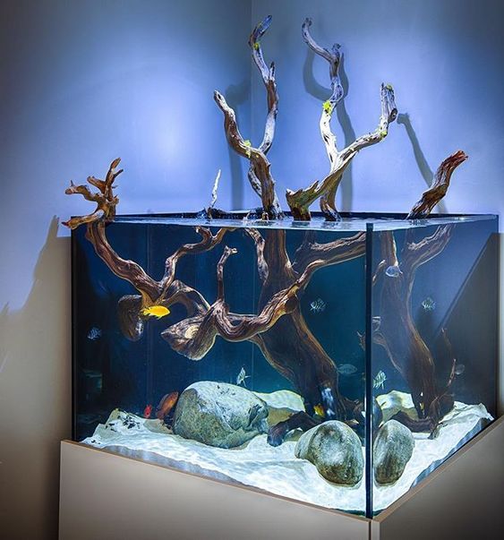 Fish Tank Decoration Ideas 4