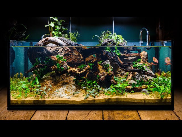fish tank decoration ideas 2