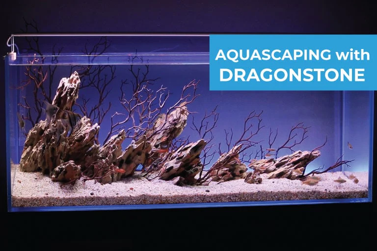 how to decorate with dragon stone for fish tank