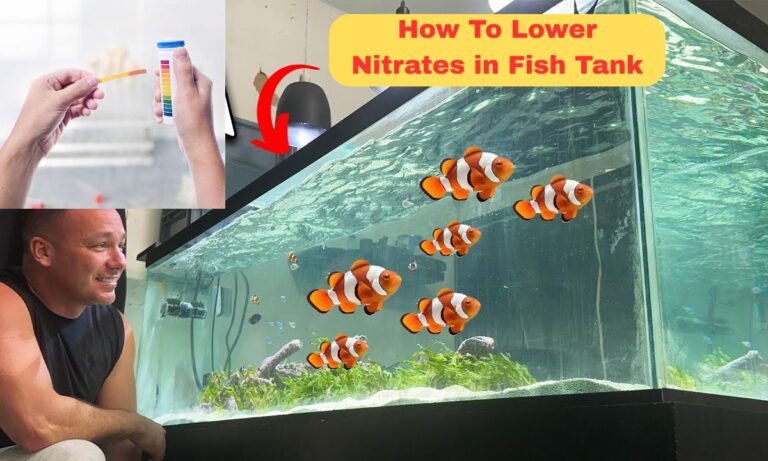 how to lower nitrates in fish tank