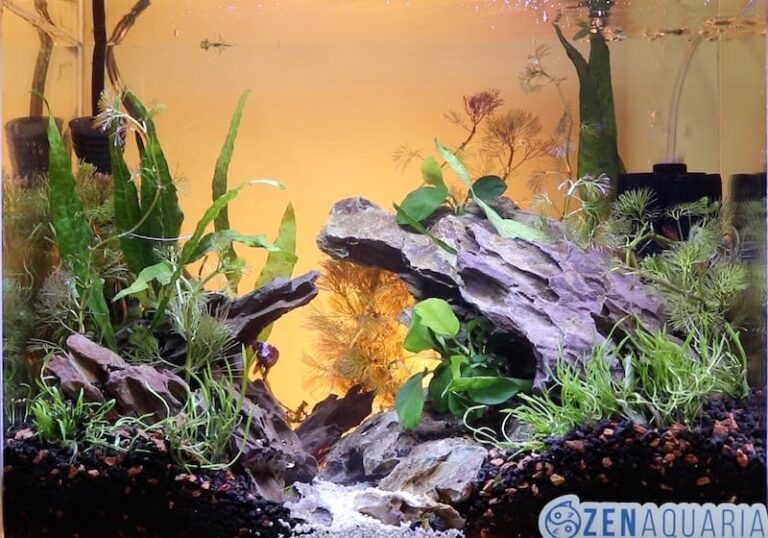 how to decorate with dragon stone for fish tank 3